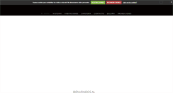 Desktop Screenshot of hotellasnieves.com